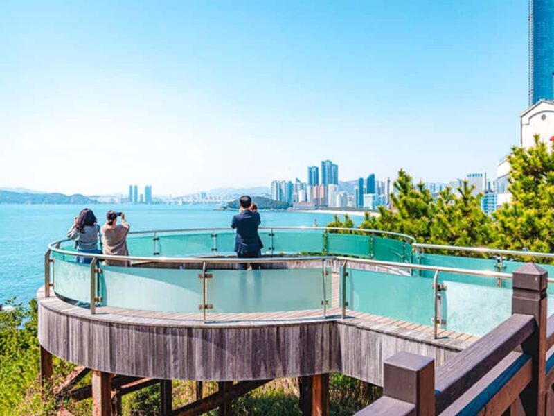 Busan: Spring Cherry Blossom & Gyeongju Highlights Day Tour - What to Expect Practically