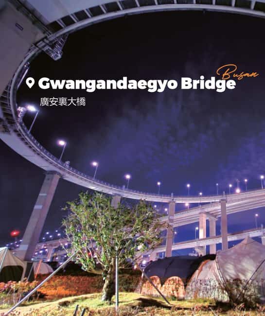 Busan: Sunset & Night Tour with Sky Capsule and The Bay 101 - Final Thoughts