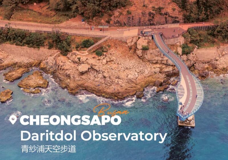 Busan: Sunset & Night Tour with Sky Capsule and The Bay 101 - An In-Depth Look at the Busan Sunset & Night Tour