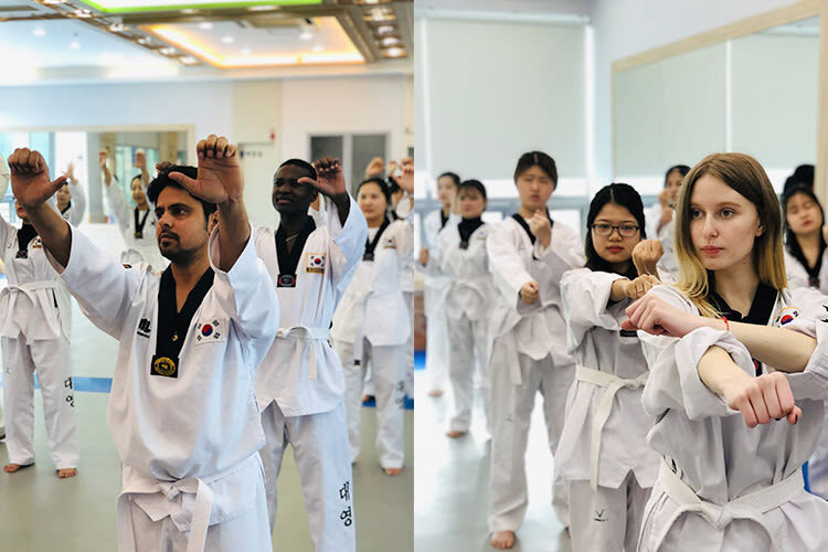 Busan Taekwondo Culture Experience - A good fit for curious beginners, with a few limits