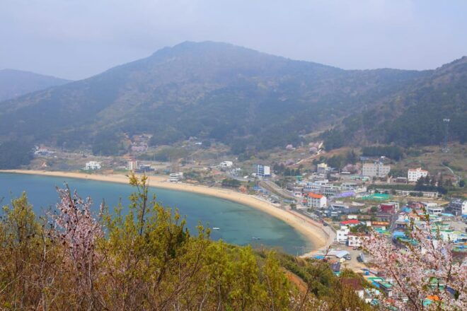 Busan to Geoje: Seascapes & Windy Hills Tour - Windy Hill Experience