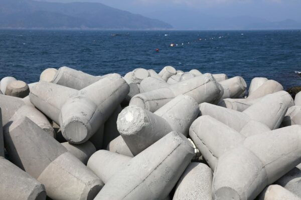 Busan to Geoje: Seascapes & Windy Hills Tour - Booking Information