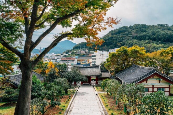 Busan to Tongyeong: Art, Markets, and Memorial Parks - Dongpirang Mural Village