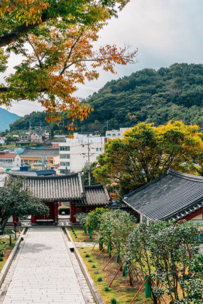 Busan to Tongyeong: Art, Markets, and Memorial Parks - Tour Inclusions