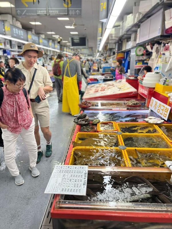 Busan: Top Attractions Tour for Cruise Guests - Who Is This Tour Best For?