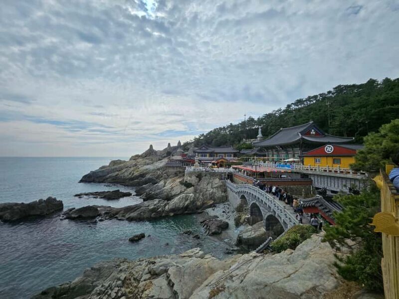 Busan: Top Attractions Tour for Cruise Guests - Good To Know