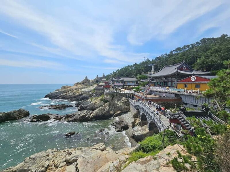 Busan Tour with Gamcheon Village & haedong yonggungsa temple - Good To Know