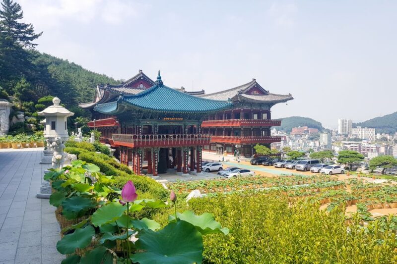 Busan Tour with Gamcheon Village & haedong yonggungsa temple - Final Words