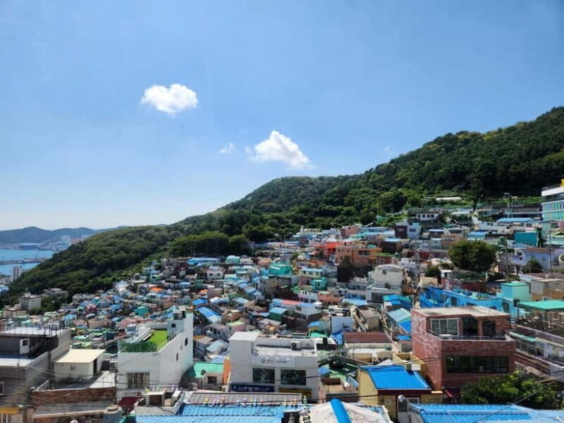 Busan Tour with Gamcheon Village & haedong yonggungsa temple - An Overview of the Busan Experience