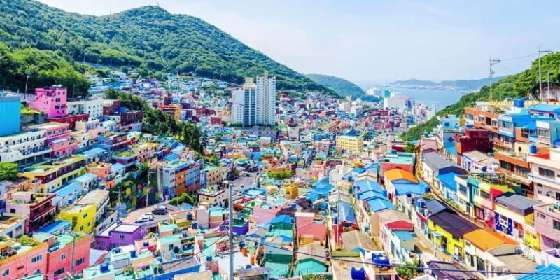 Busan Tour with Gamcheon Village & haedong yonggungsa temple - What Reviewers Are Saying