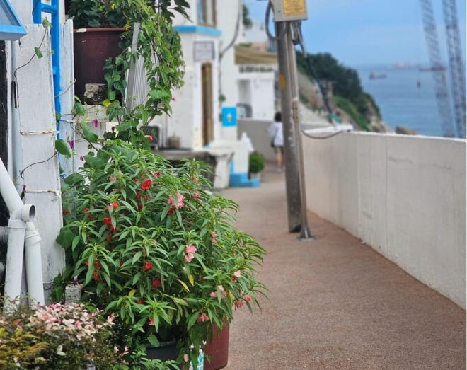 Busan Tour:Taejongdae + Huinnyeoul + Gamcheon +SongdoSkywalk - Discover Huinnyeoul Village