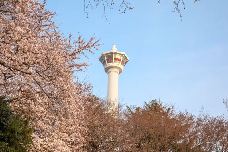 Busan Tower Discount Ticket - Finding the Tower in Yongdusan Park