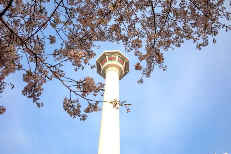 Busan Tower Discount Ticket - Should You Book Busan Tower?