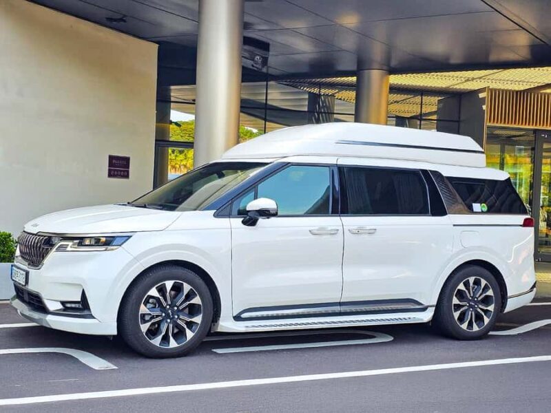 Busan: VIP Small-Group Shore Excursion for Cruise Passengers - Pricing & Value