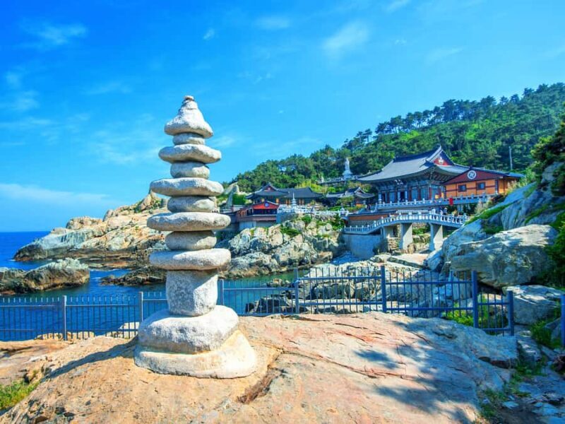 Busan: VIP Small-Group Shore Excursion for Cruise Passengers - The Sum Up