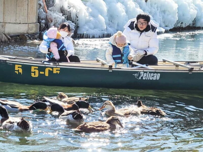 Busan: Winter Healing Park and (Gyeongju/Daegu) One Day Tour - Practicalities and Value