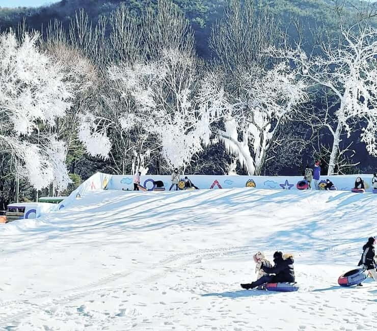 Busan: Winter Healing Park and (Gyeongju/Daegu) One Day Tour - Good To Know