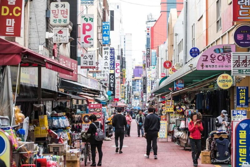 Busan: Your Private Custom Tour  Half/Full - Detailed Breakdown of the Itinerary Options