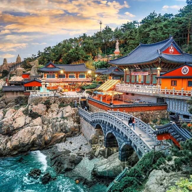 Busan: Your Private Custom Tour Half/Full - Final Thoughts