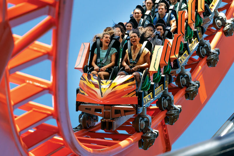 Busch Gardens Tampa Bay Admission - Key points to know before you go