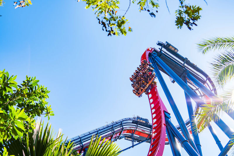 Busch Gardens Tampa Bay Admission - A theme park day with a zoo in the middle