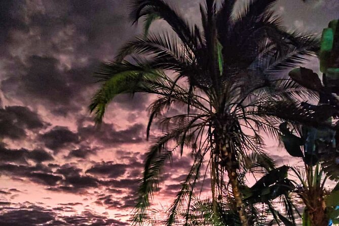 Bush by Night 4x4 Drive - Booking Guidelines