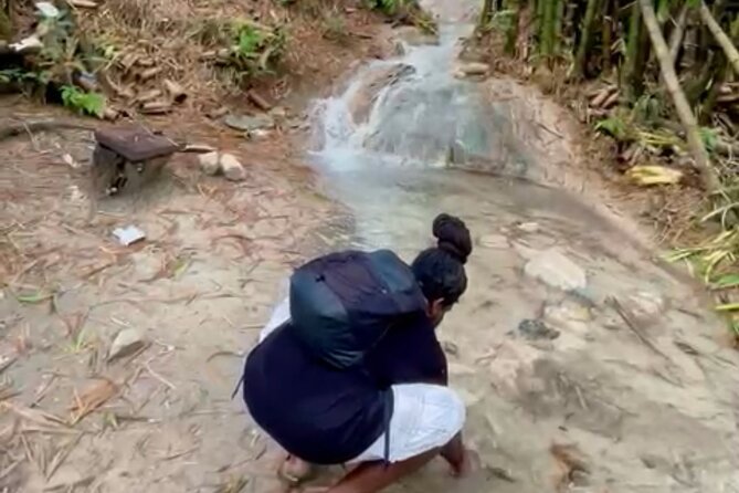 Bush Hiking to Explore Wild Plants & Fresh Fruits,Montego Bay - Discovering Fresh Fruits in the Wilderness