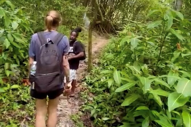 Bush Hiking to Explore Wild Plants & Fresh Fruits,Montego Bay - Common Questions