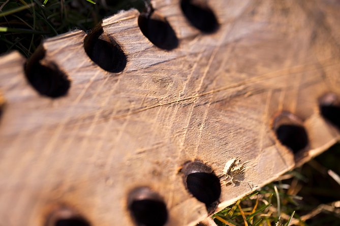 Bushcraft Experience, Get Out and Enjoy the Outdoors and Learn New Skills - Workshop Overview