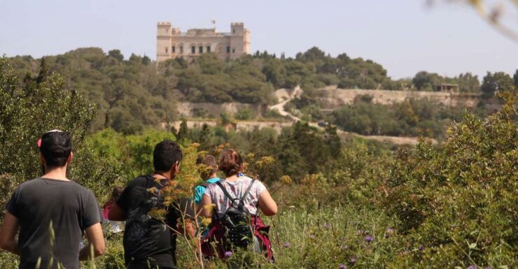 Buskett Woodlands and Dingli Cliffs Private Nature Tour - Included in the Tour