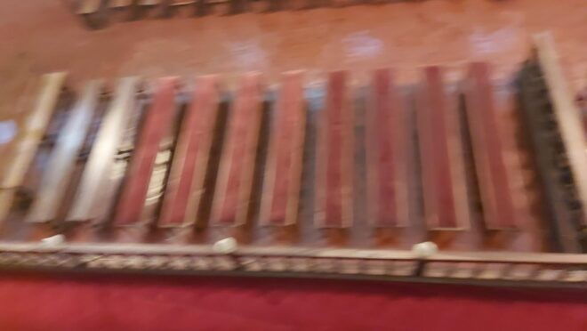 Bussaco Palace and the University of Coimbra Private Tour - Tour Experience