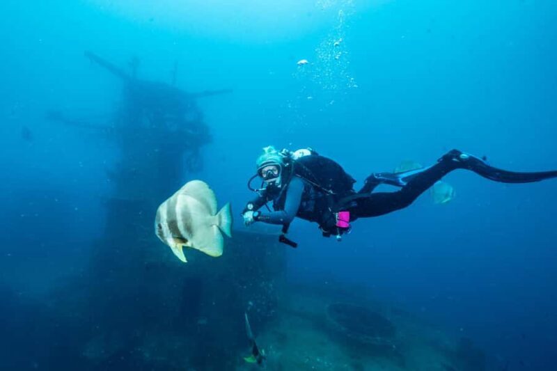 Busselton / Dunsborough : HMAS Swan Wreck Scuba Dive - What to Expect From the Experience