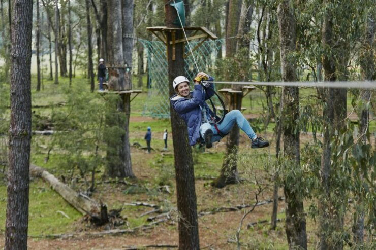 Busselton: Forest Adventure With Zip Lining and Rope Course - Experience Highlights