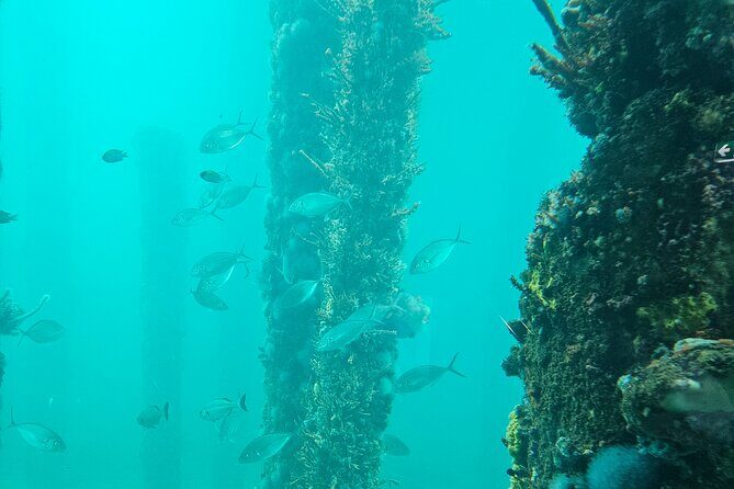 Busselton Jetty and Underwater Observatory - Good To Know