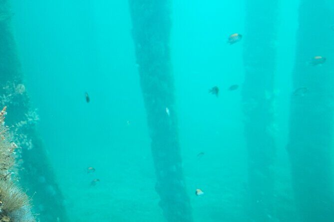 Busselton Jetty and Underwater Observatory - FAQ