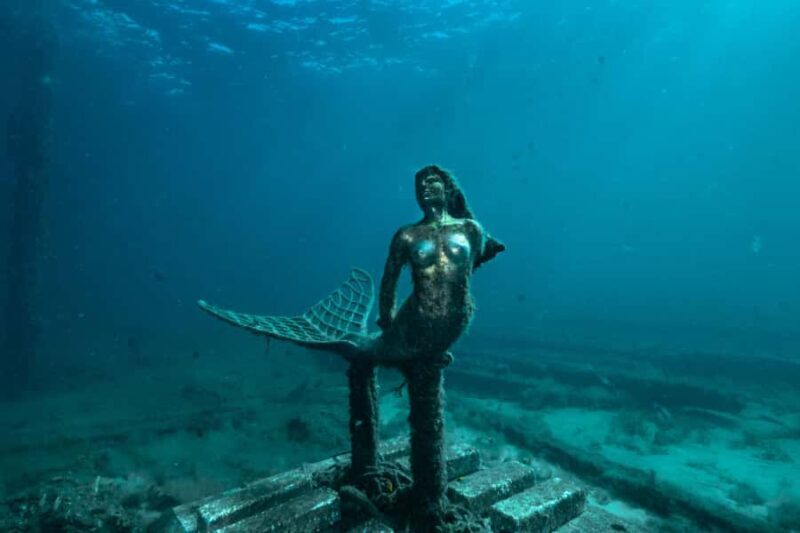 Busselton: Jetty Discover Scuba Diving Experience - An In-Depth Look at the Busselton Jetty Scuba Experience