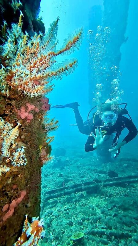 Busselton: Jetty Discover Scuba Diving Experience - Who This Tour Is Best For