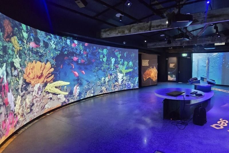 Busselton Jetty Marine Discovery Centre Admission Tickets - What to know before you go