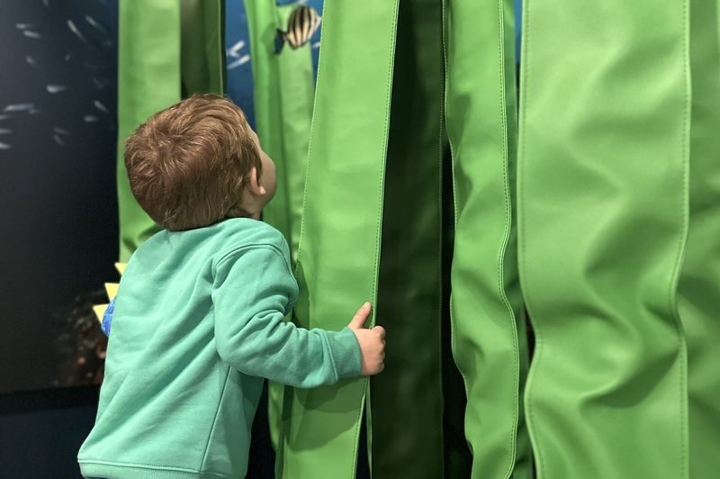 Busselton Jetty Marine Discovery Centre Admission Tickets - A small centre with plenty to look at