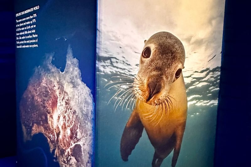 Busselton Jetty Marine Discovery Centre Admission Tickets - From sharks to offshore marine parks