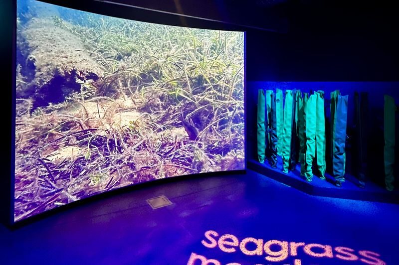 Busselton Jetty Marine Discovery Centre Admission Tickets - Is the ticket good value at $11.99?