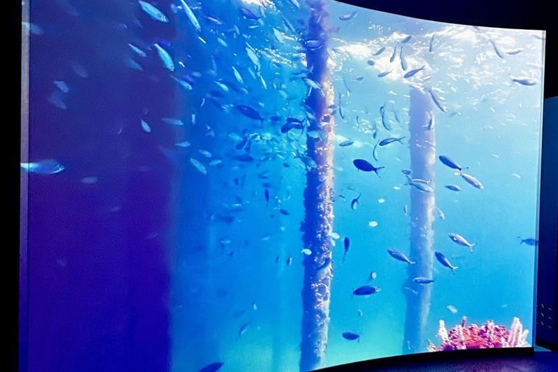 Busselton Jetty Marine Discovery Centre Admission Tickets - Who will enjoy this marine stop?