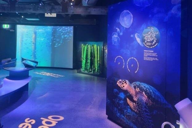 Busselton Jetty Marine Discovery Centre Admission Tickets - Should you book the Marine Discovery Centre?