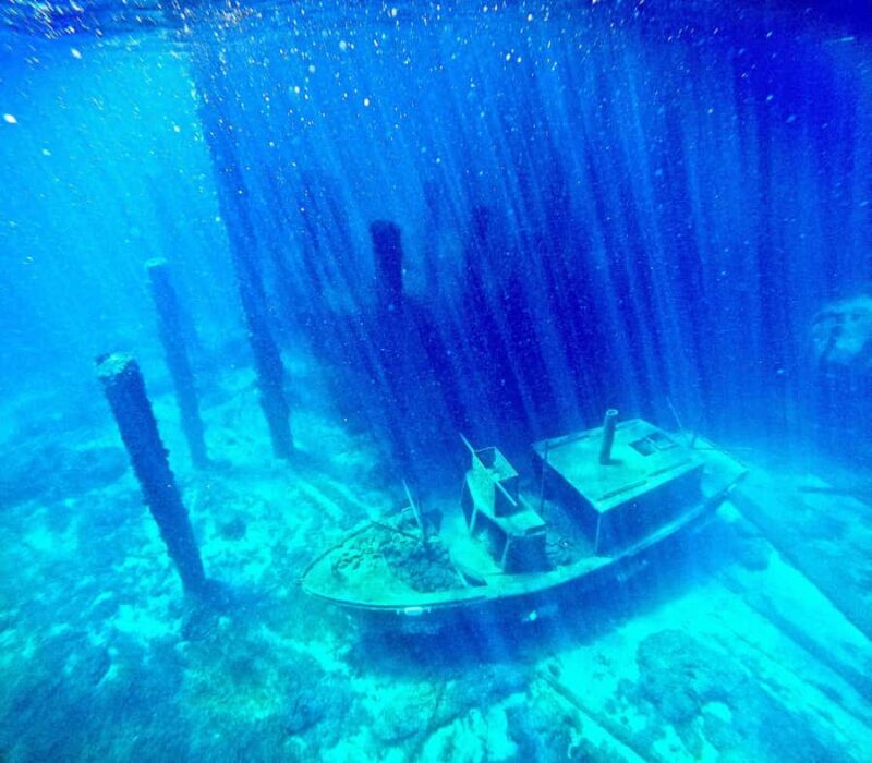 Busselton: Jetty Scuba Dive Tours with Underwater Sculptures - Practical Tips for Your Dive