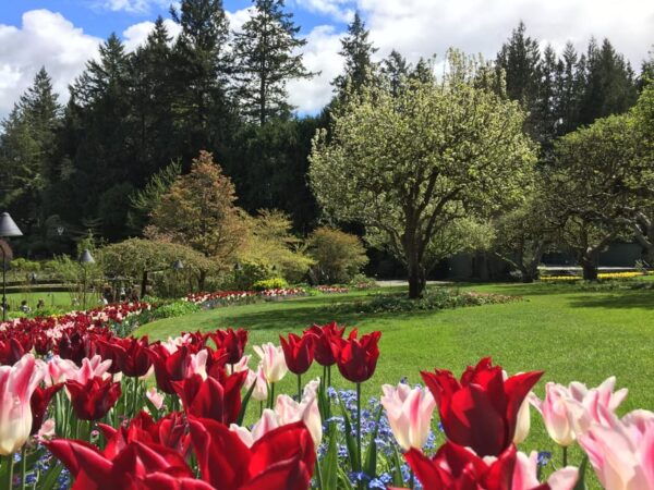 Butchart & Beyond: The Grand Victoria Tour - Optional Attractions