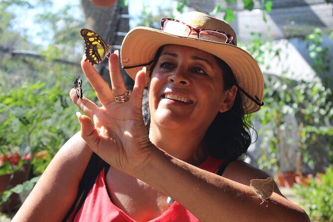 Butterflies, beach Tour with Tequila Tasting (PRIVATE TRANSPORT) - Practical Aspects and Value