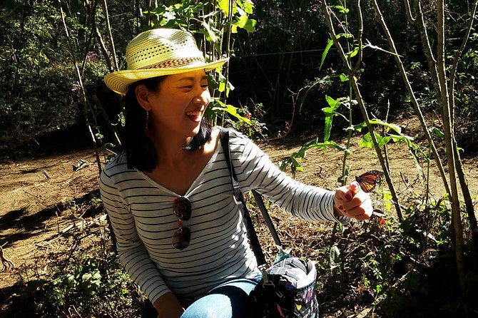 Butterfly Monarch Tour From Mexico City - Common Questions