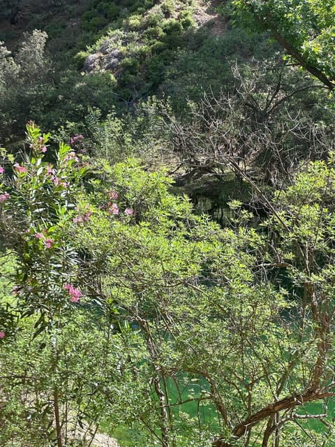 BUTTERFLY VALLEY - Key Points