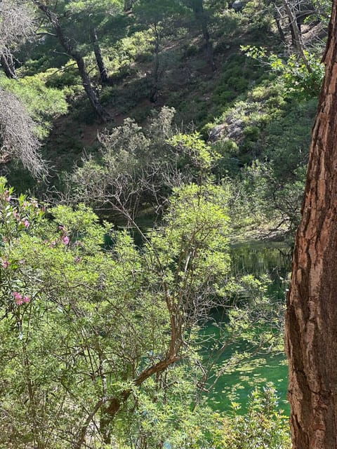BUTTERFLY VALLEY - Best Time to Visit