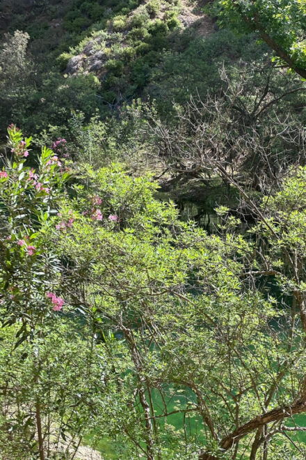 BUTTERFLY VALLEY - Admission Pricing